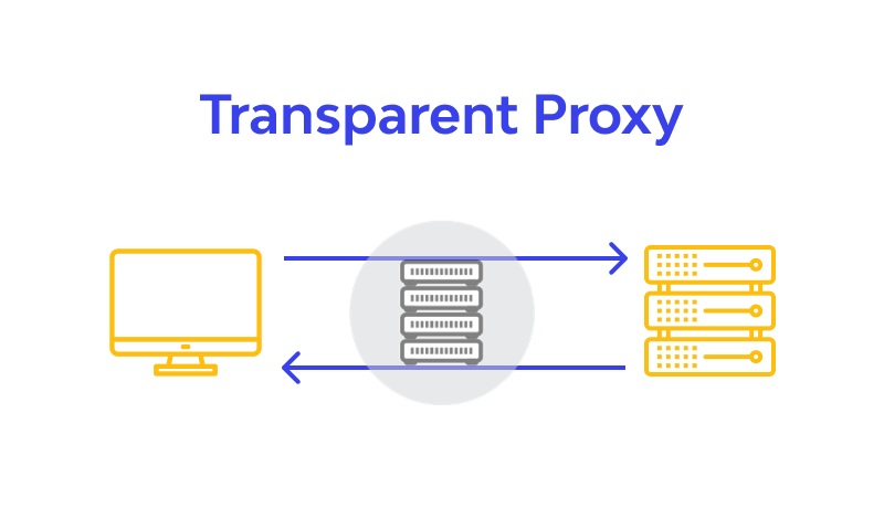 Use Cases for Transparent Proxy